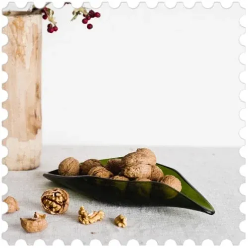 Green Feather  Bandeja